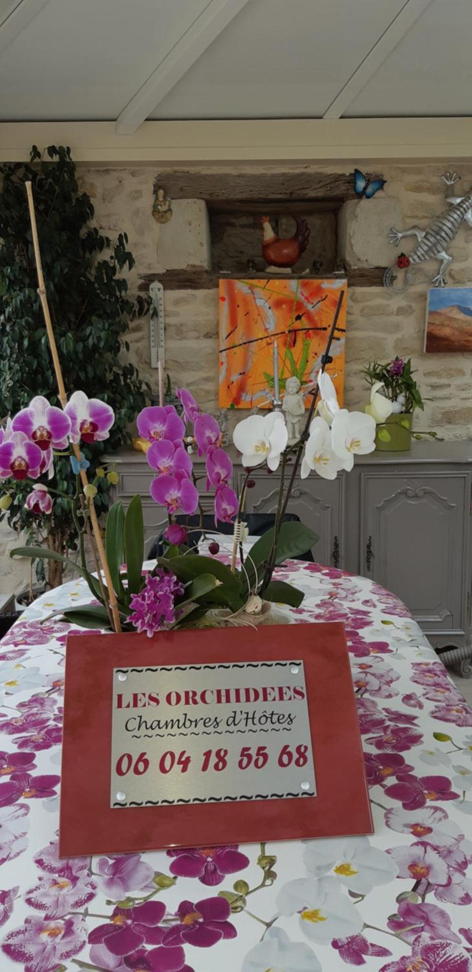 ז'ונה-קלה Les Orchidees Chambre Hotes Futuroscope Chasseneuil Poitiers מראה חיצוני תמונה